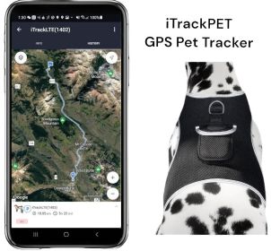 Wireless GPS Tracking Collars for Hunting Dogs Realtime Tracking Tool Size:M