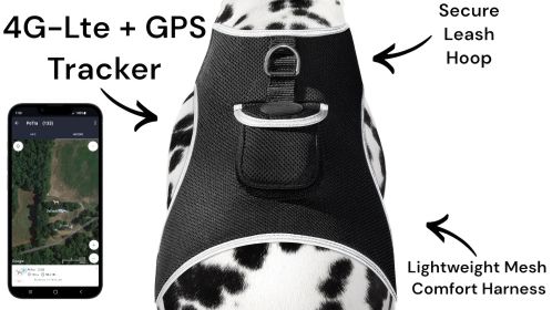 Long Range Tracking Pet Tracker GSM GPS Tracking Collars for Hunting Dogs Size:L